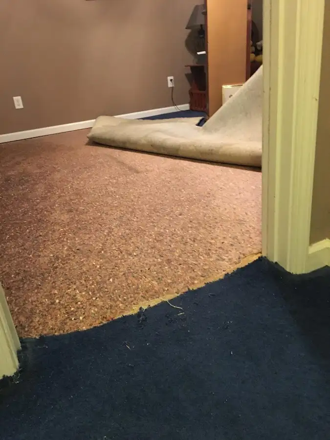 Carpet pad removal revealing water damage during Water Mitigation Services in Lakeside